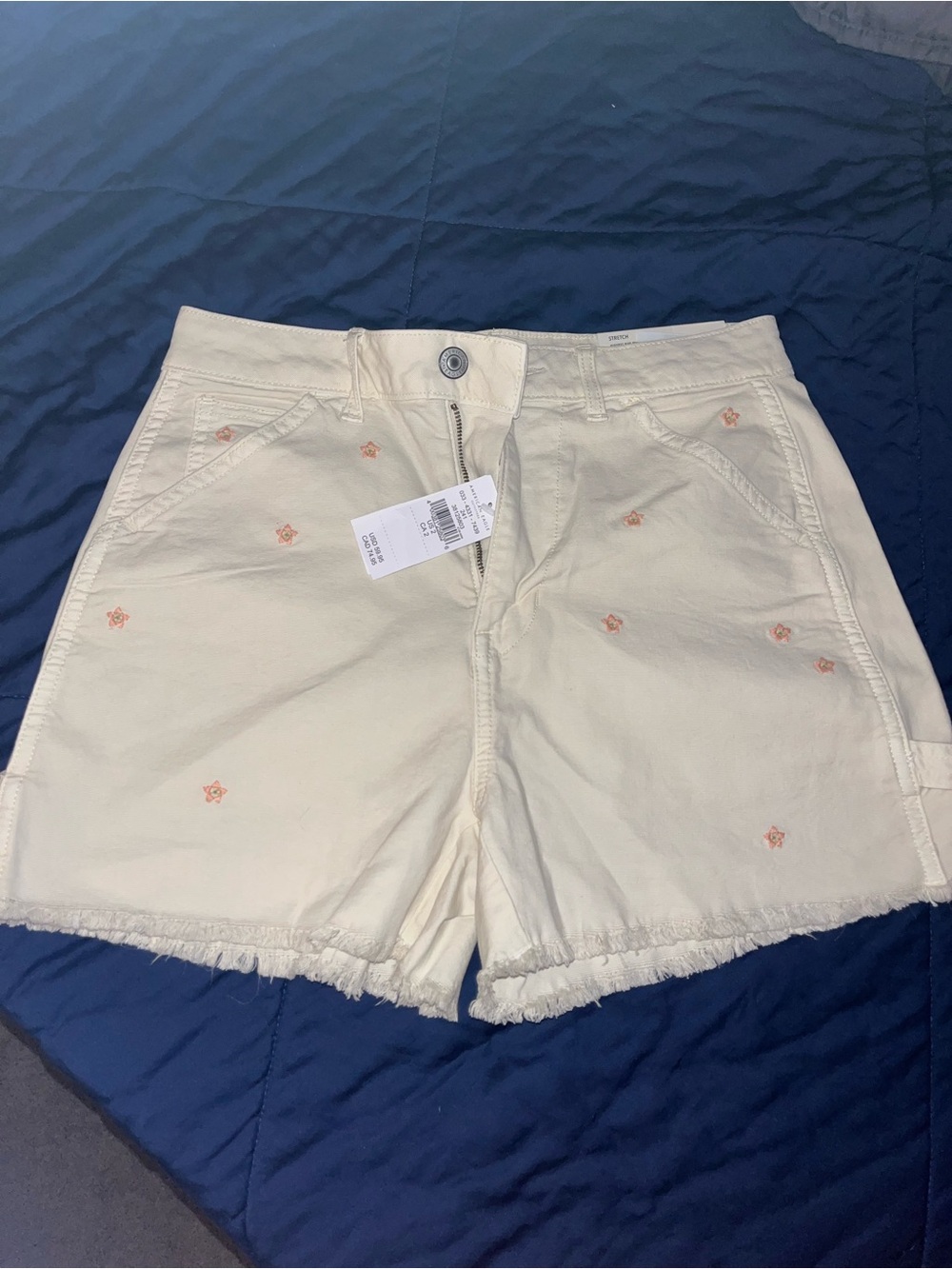 American Eagle Outfitters Cream Denim Shorts with Embroidery
